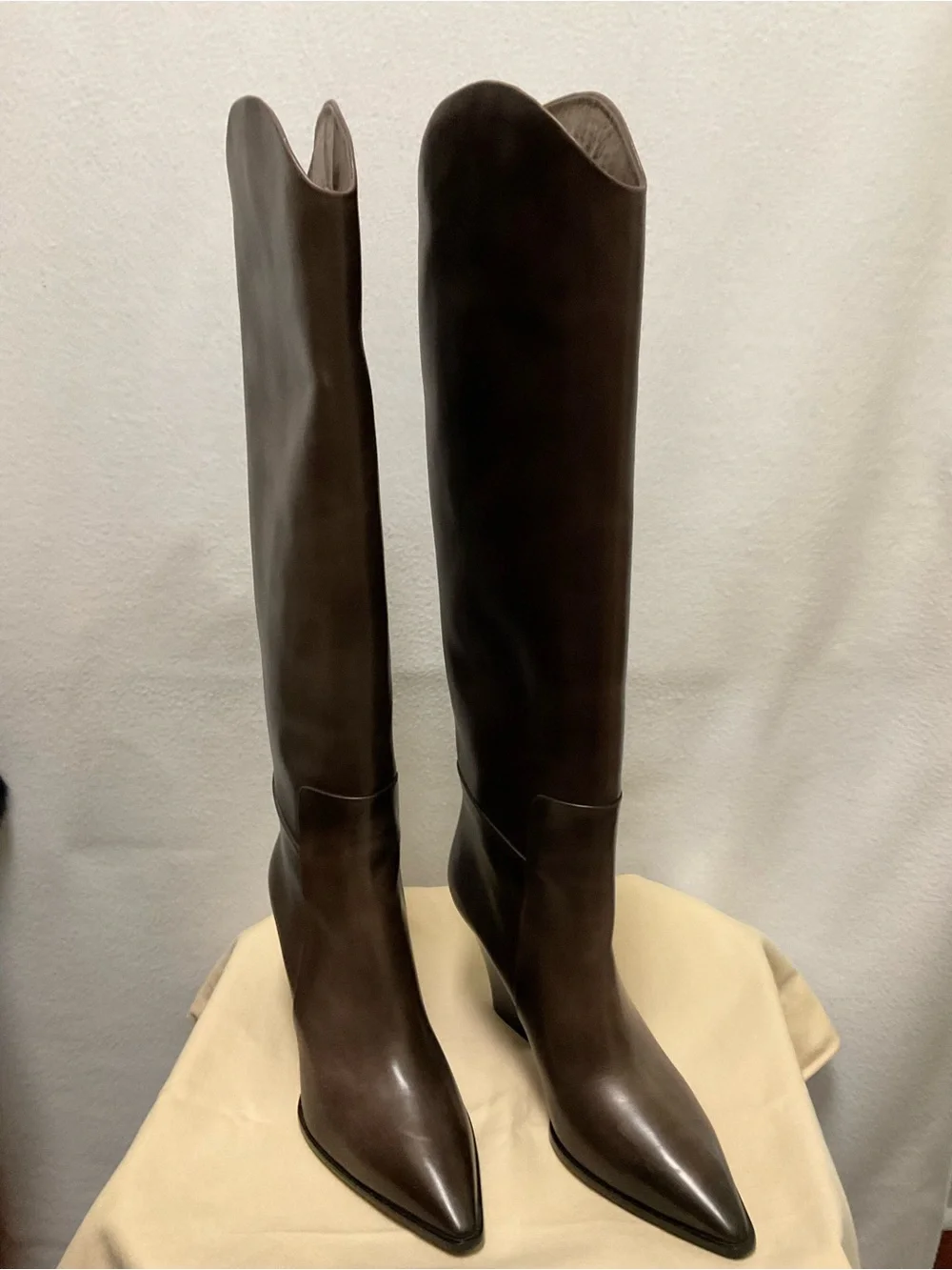 Santoni Tall Pointed-Toe Over-the-Knee Leather Boots in Dark Brown